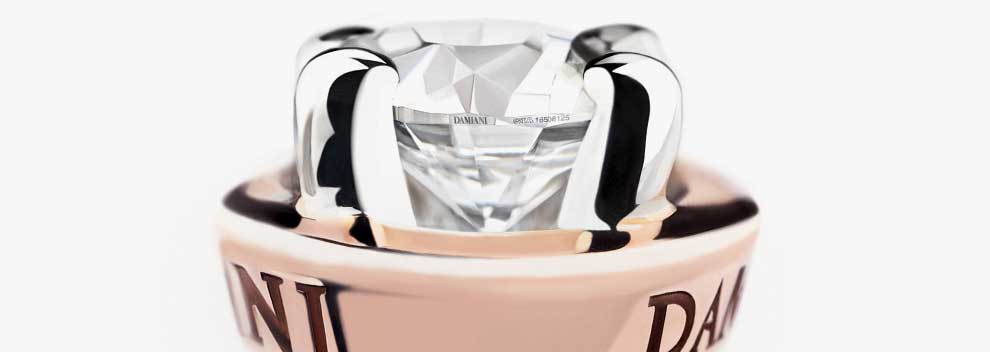 damiani guarantee system dgs